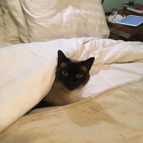 Meet your Posher, Jan - Picture 3 of 4